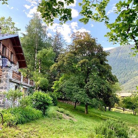 Chalet Le Tilleul Valdeblore Exteriör bild