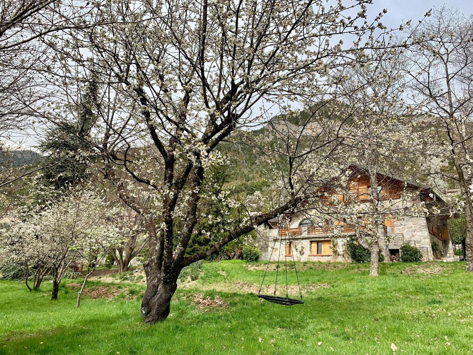 Chalet Le Tilleul Valdeblore Exteriör bild