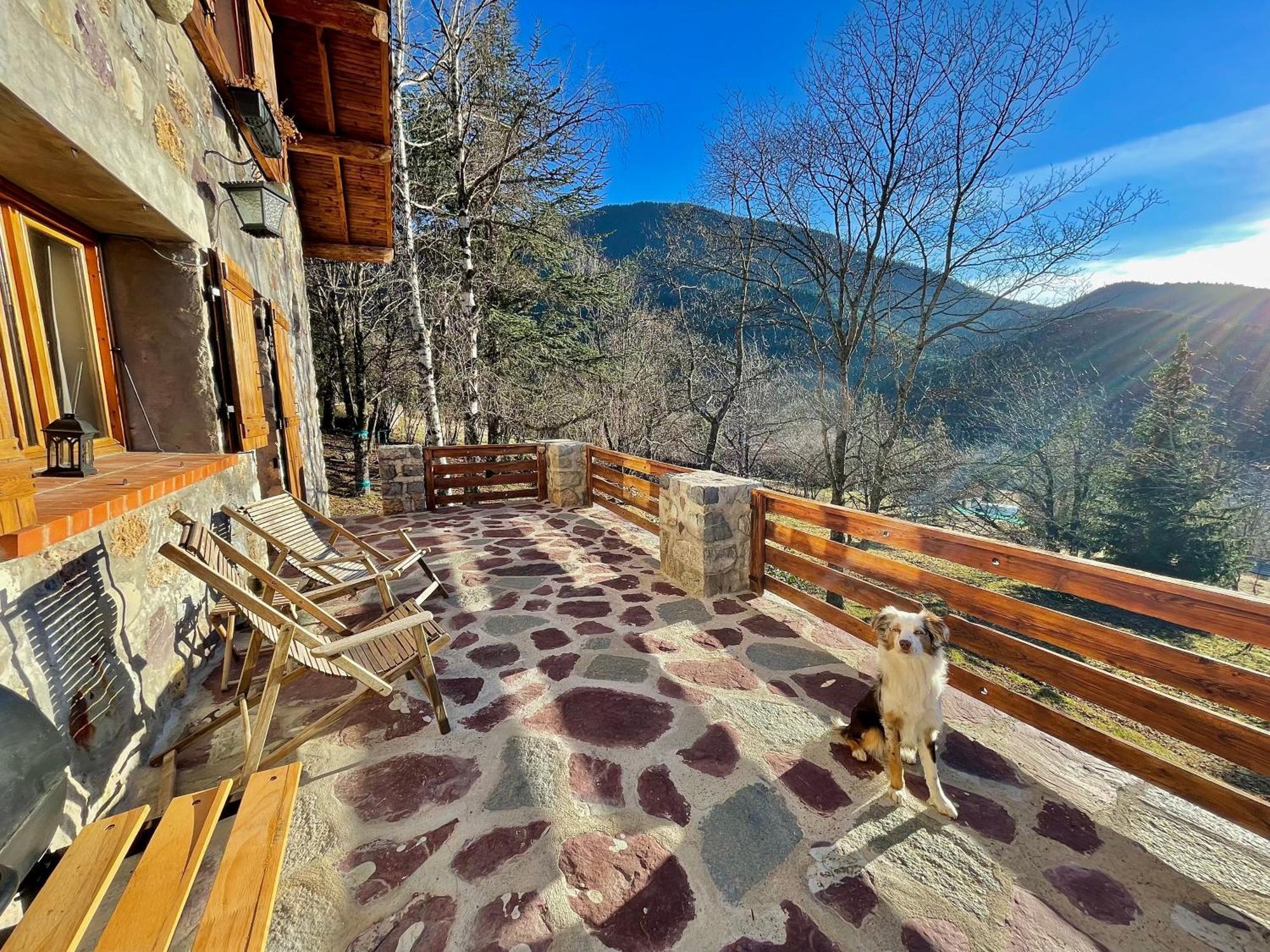 Chalet Le Tilleul Valdeblore Exteriör bild